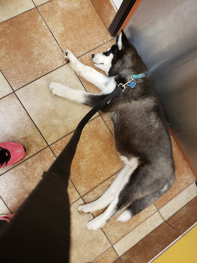 Pet Supply Store «PetSmart», reviews and photos, 5214 Blanche Moore Dr, Corpus Christi, TX 78411, USA