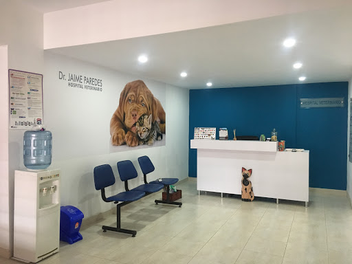 HOSPITAL VETERINARIO