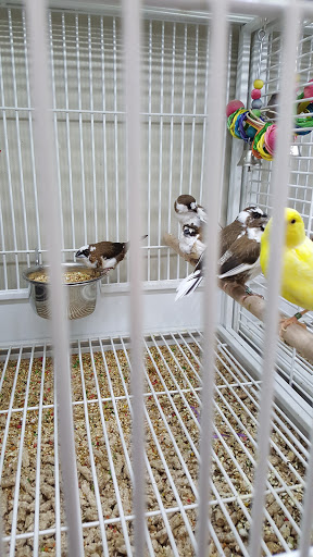 Pet Supply Store «Pet Supplies Plus», reviews and photos, 135-25 79th St, Howard Beach, NY 11414, USA