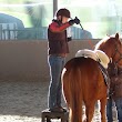 Die Pferde Grund Schule | Natural Horsemanship Trainerin | Kurse Dortmund NRW