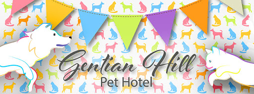 Gentian Hill Pet Hotel