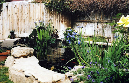 Backyard Pond LLC
