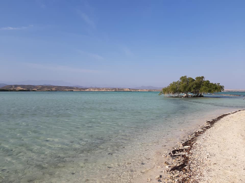 Qulaan Mangrove Beach的照片 带有碧绿色纯水表面