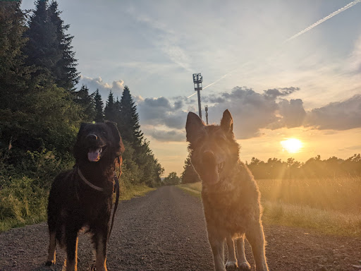 Veterinary practice Catharina Ziegler unter Üdersdorf, 