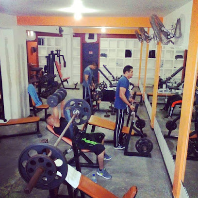 313 Fitnes Gym - Margarita 108, Las Violetas, 89368 Tampico, Tamps., Mexico