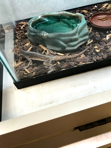 Pet Store «New England Tropical Pet», reviews and photos, 49 Drum Hill Rd, Chelmsford, MA 01864, USA
