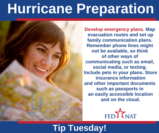 Insurance Agency «FedNat», reviews and photos