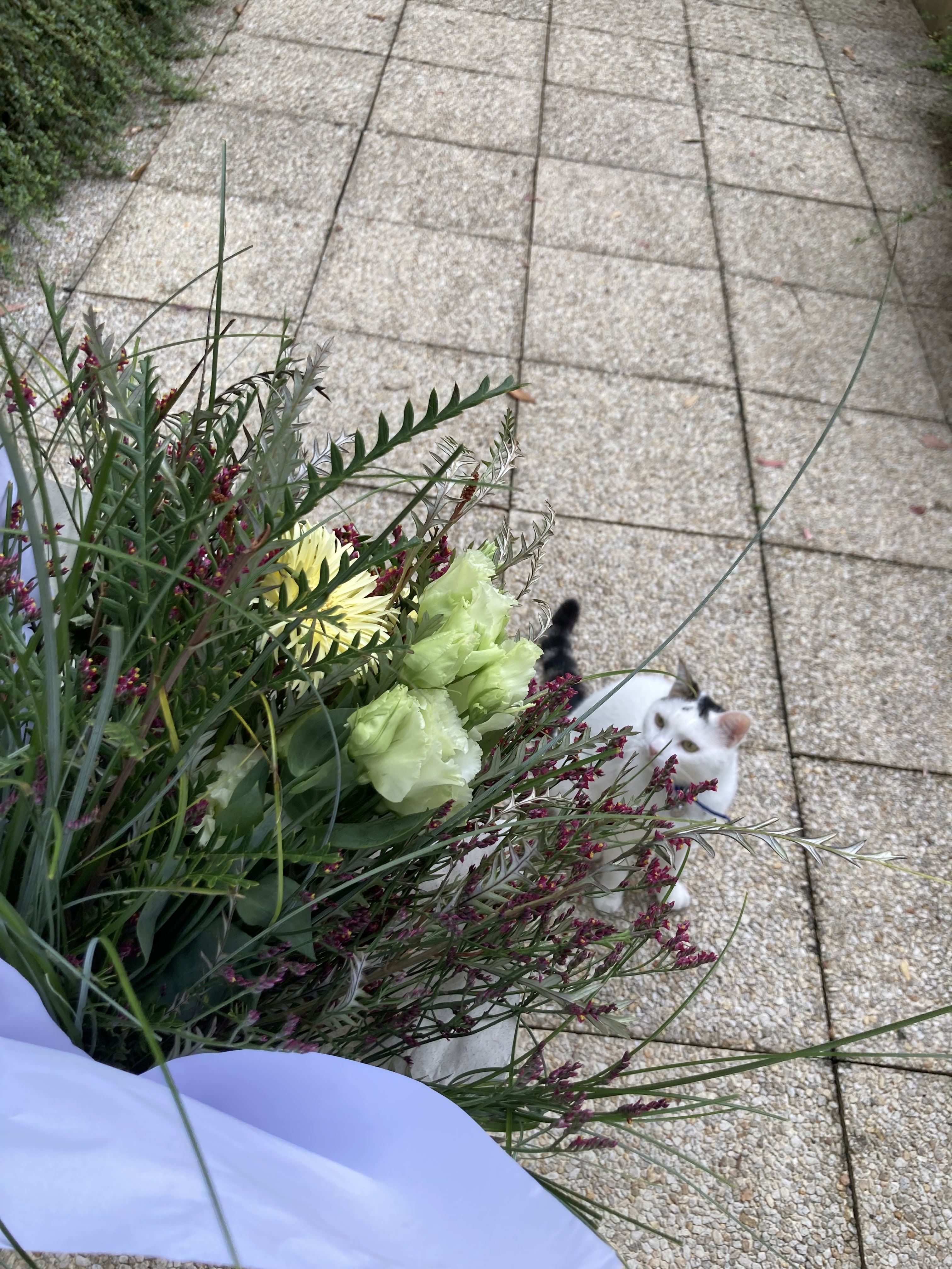 Photo n° 1 de l'avis de Steveo.o fait le 26/07/2023 à 17:54
