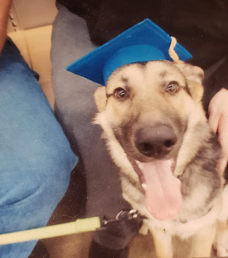 Pet Supply Store «Petco Animal Supplies», reviews and photos, 1210 Marvin Rd NE, Lacey, WA 98516, USA