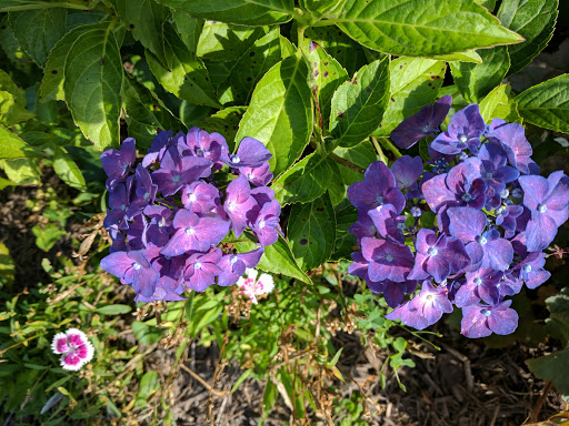 Park «Harford Glen Park», reviews and photos, 502 W Wheel Rd, Bel Air, MD 21015, USA