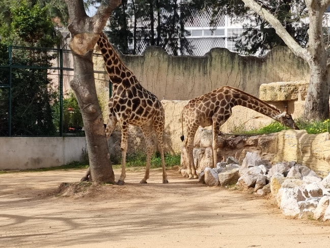 Jardim Zoológico de Lisboa - Lisboa