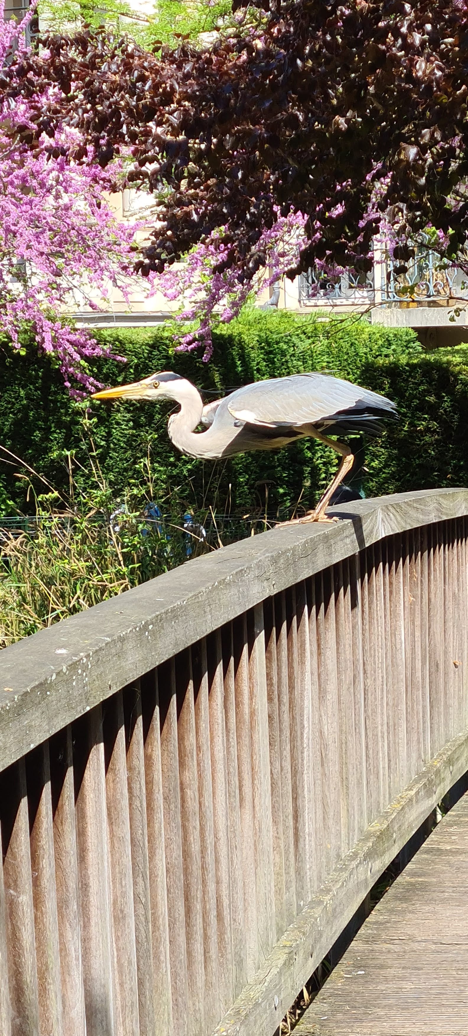 Photo n° 2 de l'avis de Yann.. fait le 28/12/2015 à 21:20