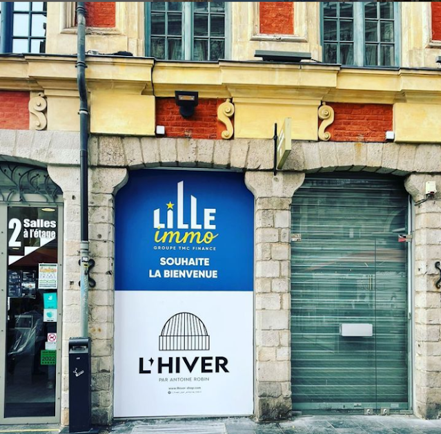 Immobilier professionnel Lille : Lille Immo Entreprise à Lille (Nord 59)