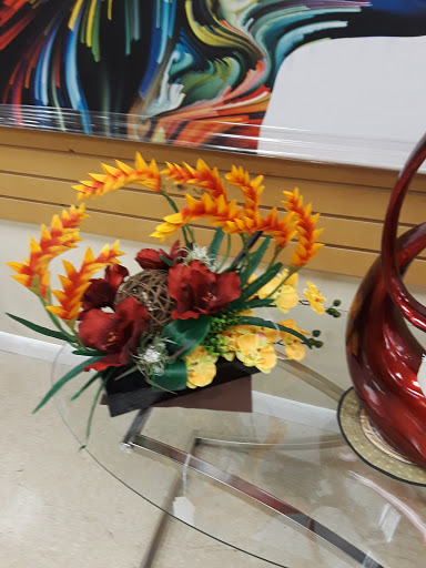 Discount Store «Fallas Discount Stores», reviews and photos, 515 W 49th St, Hialeah, FL 33012, USA