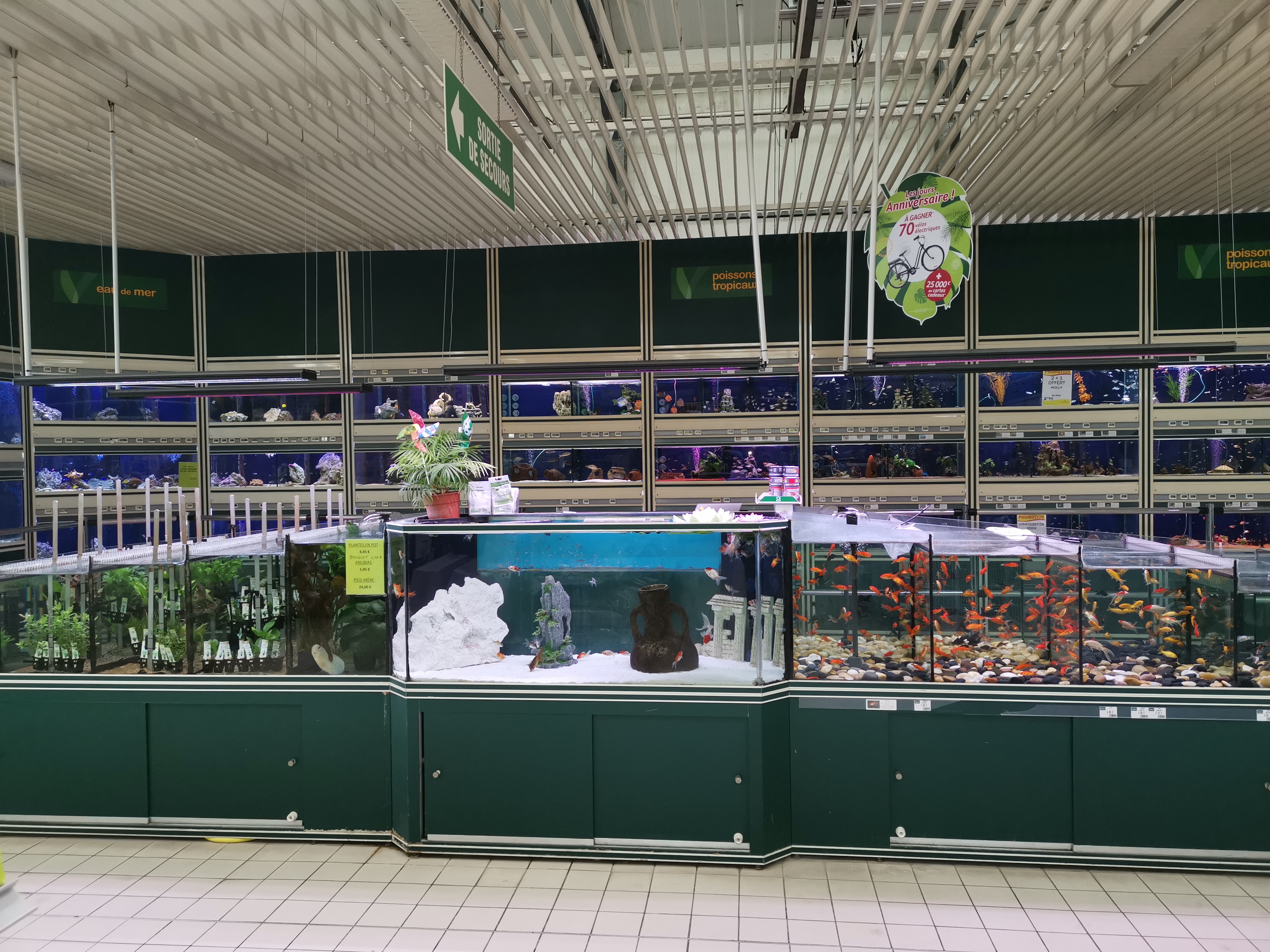 Photo n° 8 de l'avis de Gauthier.l fait le 20/03/2019 à 10:10