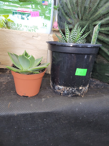 Florist «Cityside Flowers - Metropolitan Wholesale», reviews and photos, 285 N Midland Ave, Saddle Brook, NJ 07663, USA