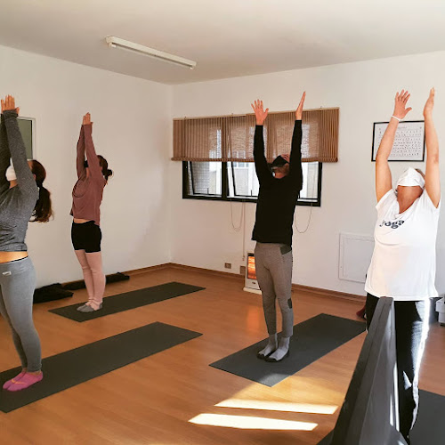 56 avaliações sobre Yone Yoga (Aulas de Yoga) em Curitiba (Paraná)