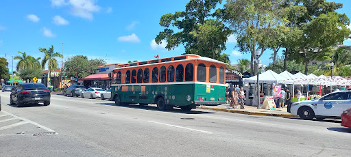 Park «Maximo Gomez Park», reviews and photos, 801 SW 15th Ave, Miami, FL 33135, USA