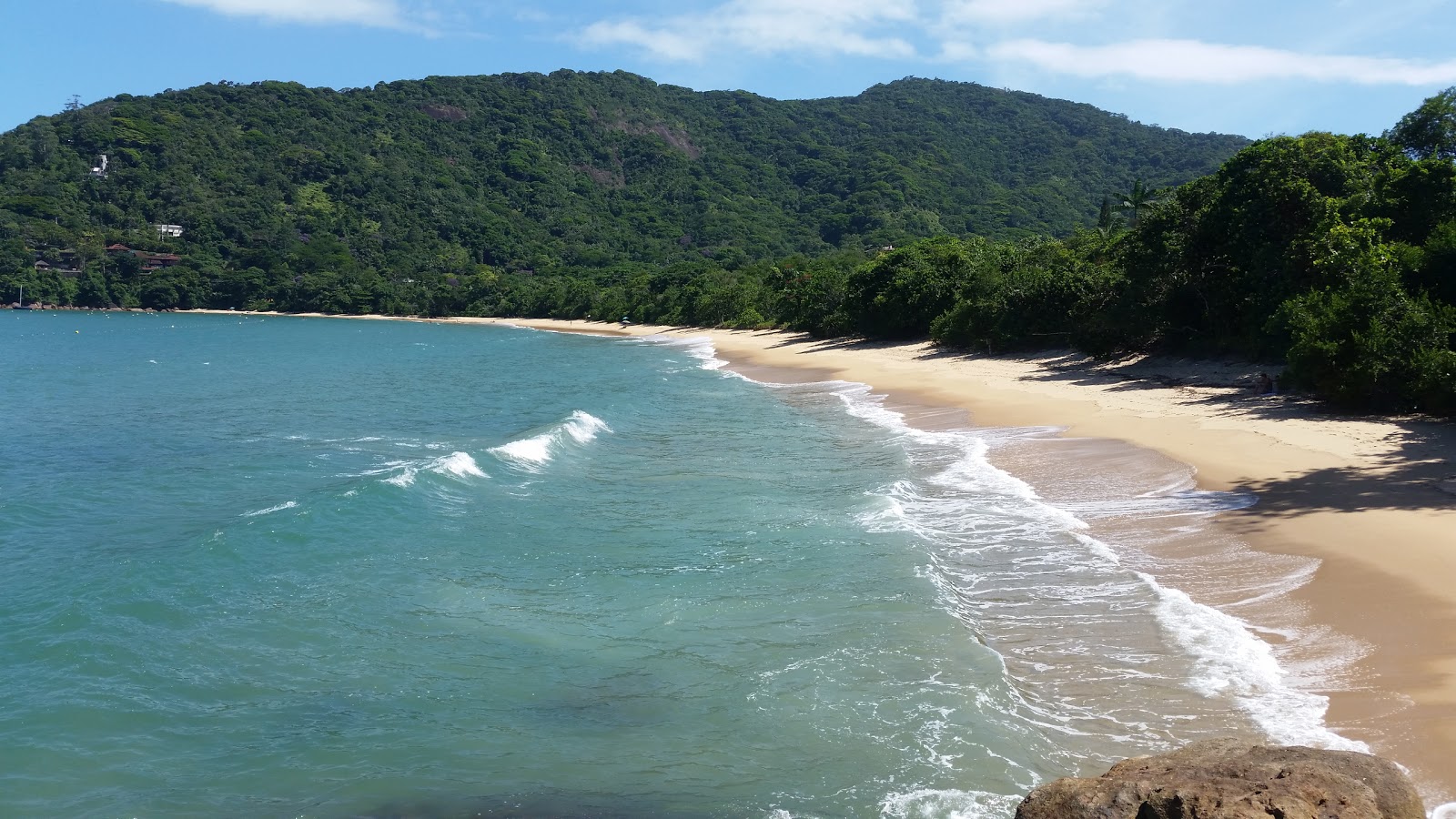 Photo de Praia Brava do Sul protégé par des falaises