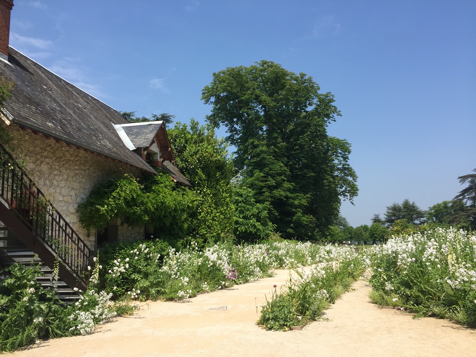 Photo n° 15 de l'avis de Paul.� fait le 25/06/2018 à 07:26