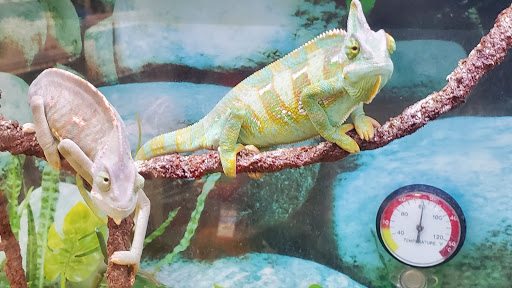 Pet Supply Store «Petco Animal Supplies», reviews and photos, 18578 Coastal Hwy #12, Rehoboth Beach, DE 19971, USA