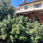Photo n° 6 de l'avis de Benji.l fait le 29/08/2022 à 10:35 pour L'aparté à L'Isle-sur-la-Sorgue