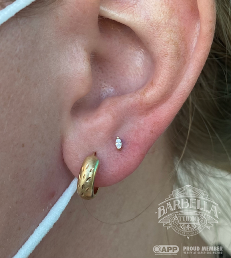 Explore parrot tattoo ideas, creative tattoo ideas in Costa Mesa, available at Barbella Studios