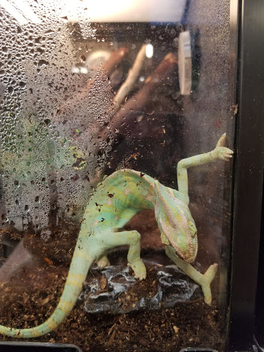 Pet Supply Store «PetSmart», reviews and photos, 10401 US-441, Leesburg, FL 34788, USA