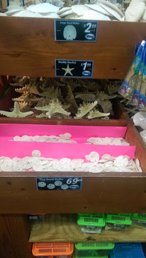 Swimwear Store «Wings Beachwear - Myrtle Beach # 024», reviews and photos, 5700 S Kings Hwy, Myrtle Beach, SC 29575, USA