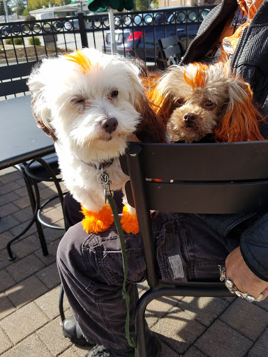 Coffee Shop «Starbucks», reviews and photos, 6768 95th St, Oak Lawn, IL 60453, USA