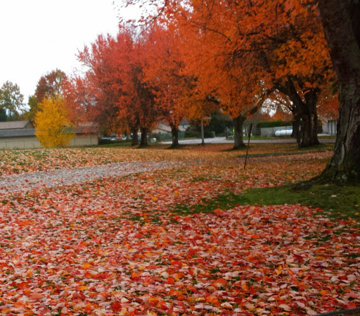 Golf Course «Mint Valley Golf Course», reviews and photos, 4002 Pennsylvania St, Longview, WA 98632, USA