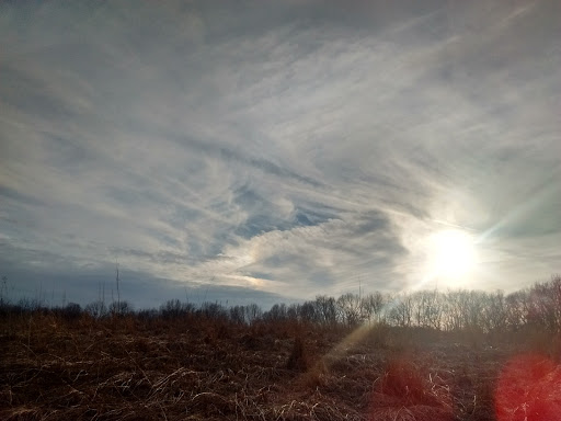 Bird Watching Area «Haehnle Sanctuary», reviews and photos, Seymour Rd, Pleasant Lake, MI 49272, USA