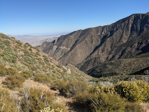 Penny Pines Trailhead