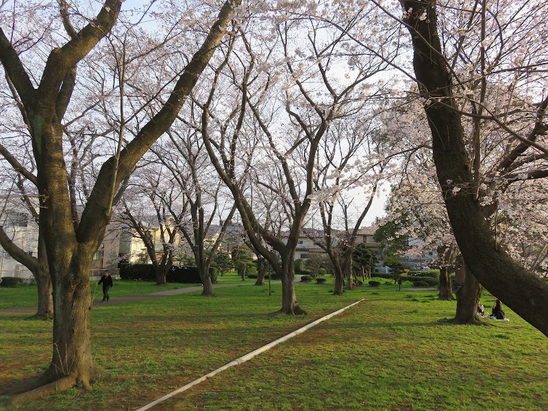 大和田新田 樹木見本園