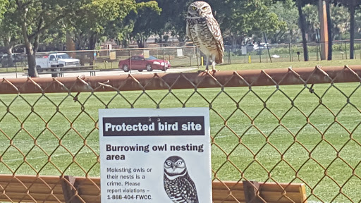 Park «Pine Island Park», reviews and photos, 320 S Pine Island Rd, Plantation, FL 33324, USA