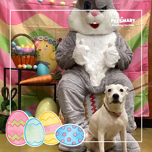 Pet Supply Store «PetSmart», reviews and photos, 131 Town Center Rd, King of Prussia, PA 19406, USA