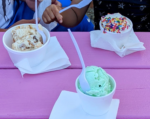 Ice Cream Shop «Cups and Cones», reviews and photos, 40146 NC-12, Avon, NC 27915, USA