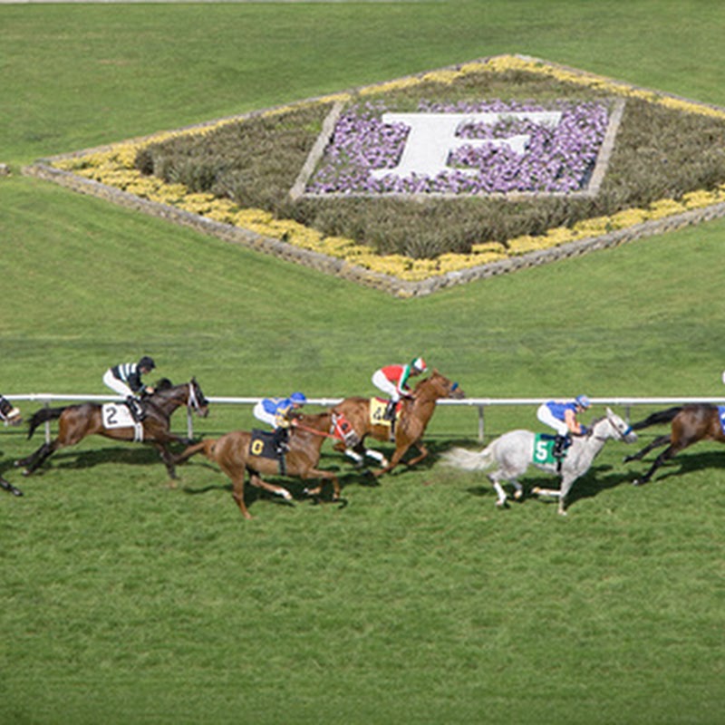 Golden Gate Fields