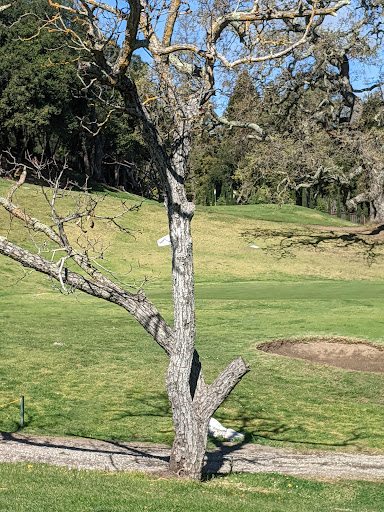 Golf Course «Emerald Hills Golf Course», reviews and photos, 938 Wilmington Way, Emerald Hills, CA 94062, USA