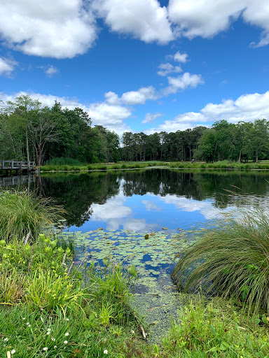 Golf Course «Ocean County Golf Course at Atlantis», reviews and photos, 261 Country Club Blvd, Tuckerton, NJ 08087, USA