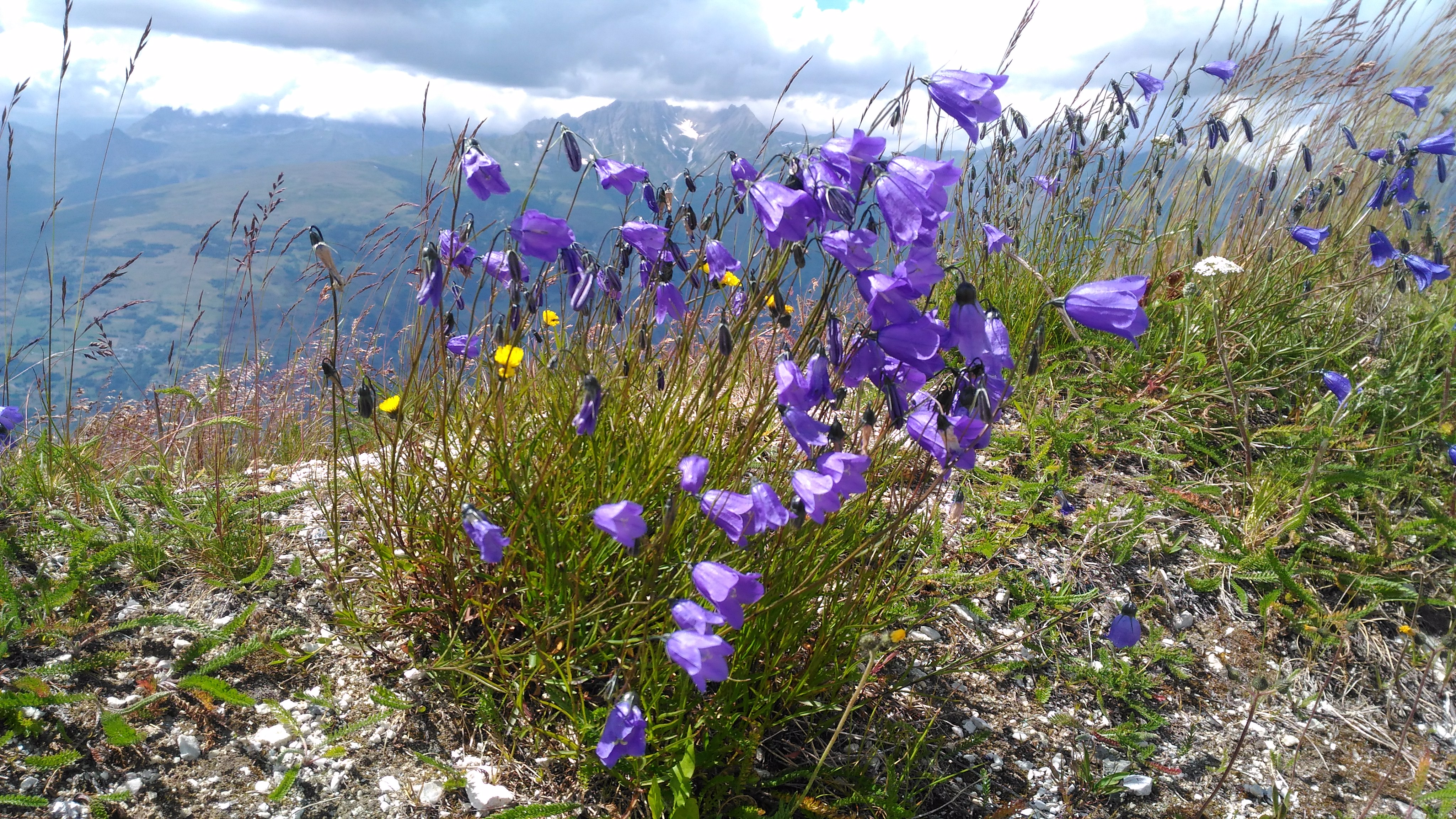 Photo n° 38 de l'avis de CHRIST. fait le 25/07/2018 à 18:05