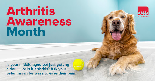 New Hope Animal Hospital image