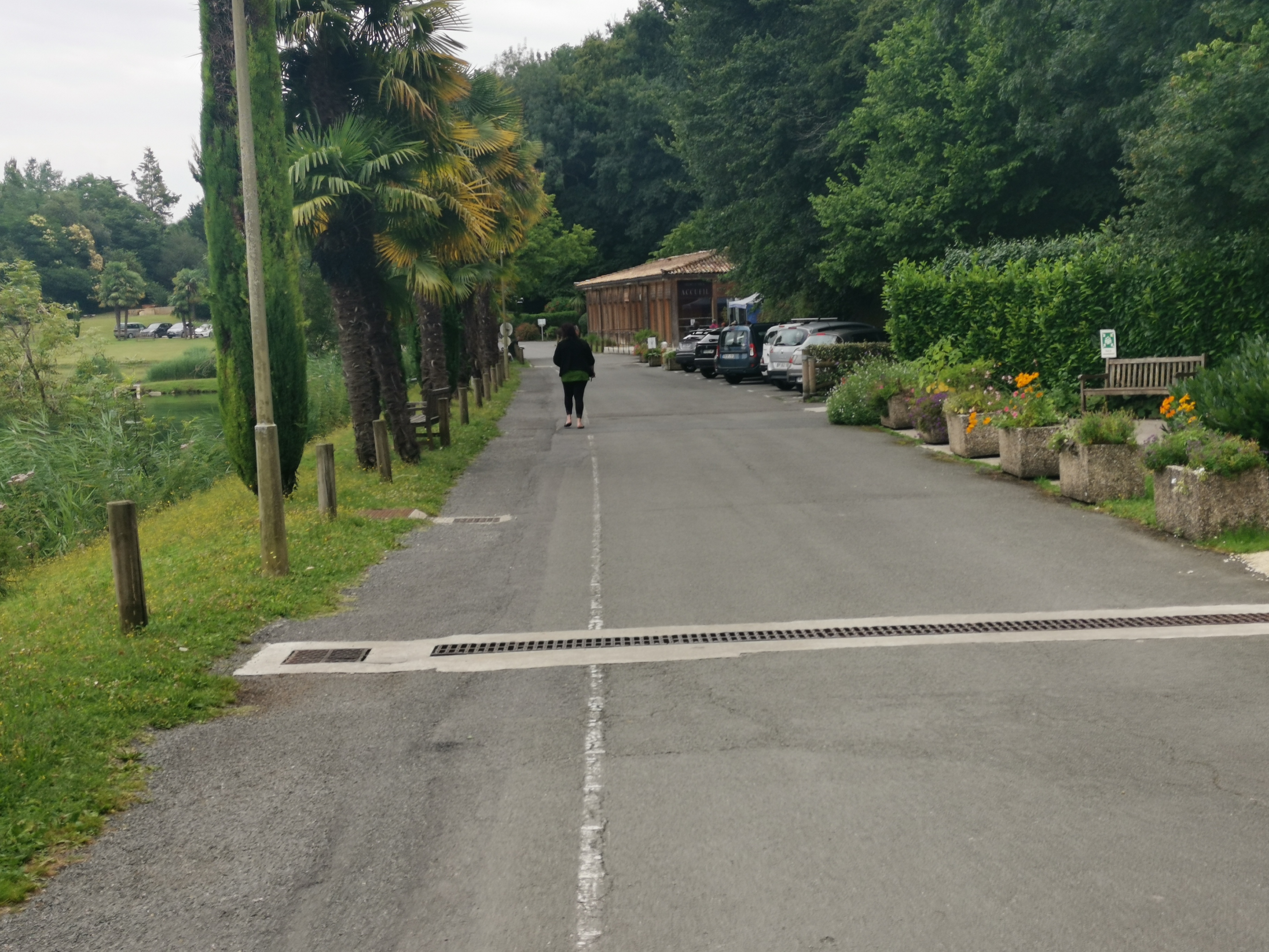 Photo n° 10 de l'avis de Jacques.I fait le 27/07/2021 à 09:38