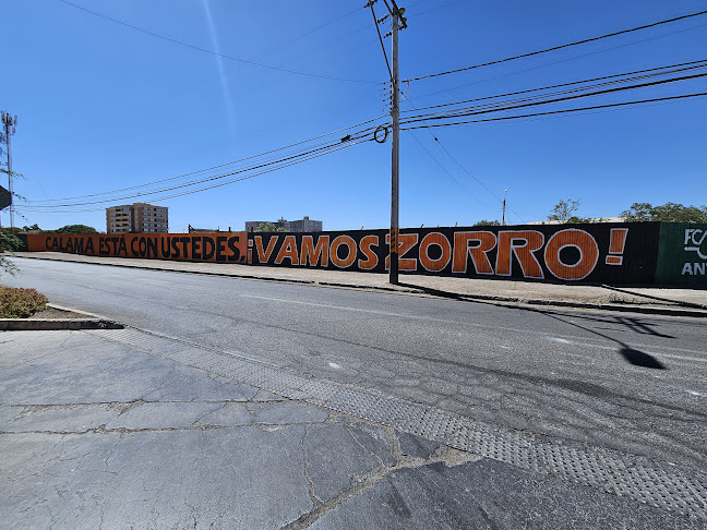 cobreloa.cl