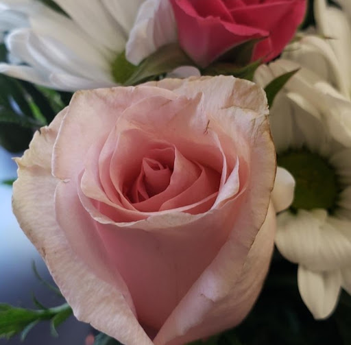 Florist «Flower Boutique», reviews and photos, 514 N Lake Ave, Pasadena, CA 91101, USA
