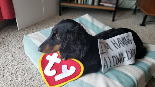 Pet Supply Store «Natural Pet Center», reviews and photos, 3037 13th Ave S, Fargo, ND 58103, USA