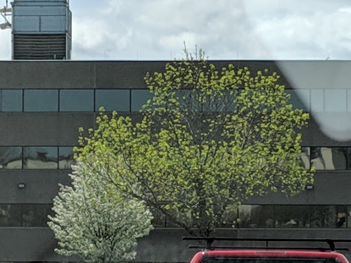 Shopping Mall «R.K. Centre», reviews and photos, 201 Boston Post Rd W, Marlborough, MA 01752, USA