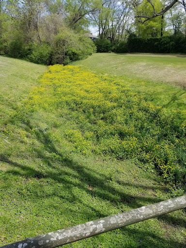 Golf Course «McCabe Golf Course», reviews and photos, 4601 Murphy Rd, Nashville, TN 37209, USA