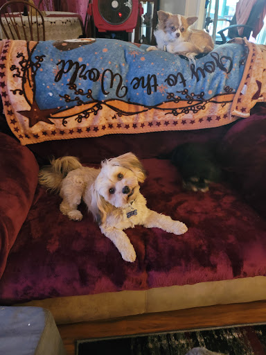 Pet Supply Store «Nature Boys Farm & Pet Supply», reviews and photos, 17022 Pacific Ave S, Spanaway, WA 98387, USA