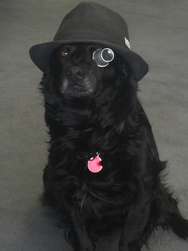 Jeweler «American Jeweler», reviews and photos, 3837 N High School Rd # 6, Indianapolis, IN 46254, USA